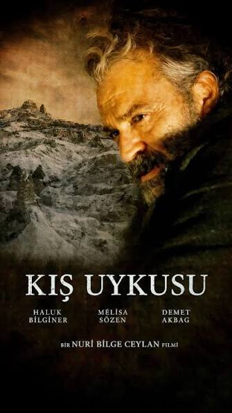 Afiş: Kış Uykusu
